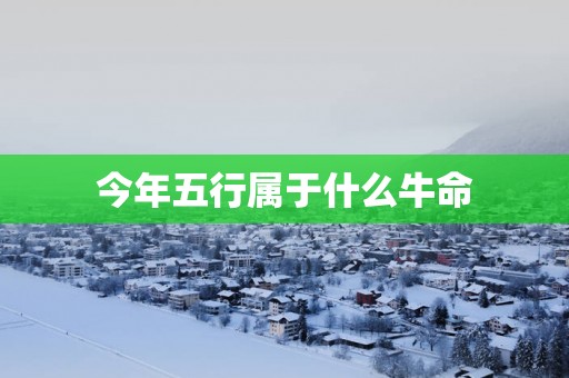 今年五行属于什么牛命