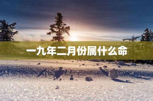 一九年二月份属什么命