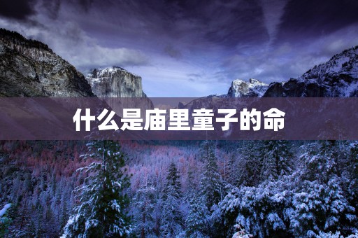 什么是庙里童子的命