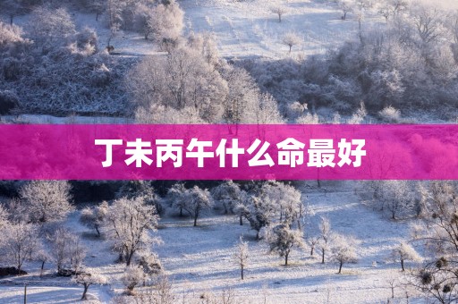 丁未丙午什么命最好