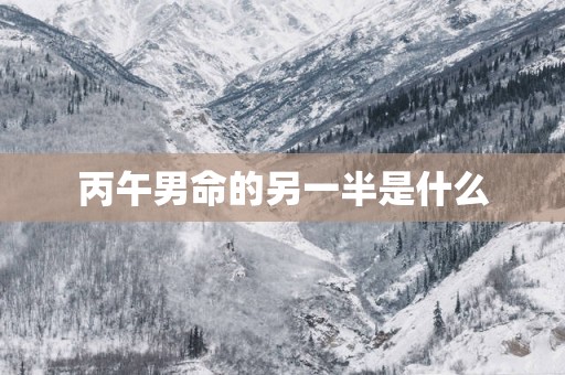 丙午男命的另一半是什么