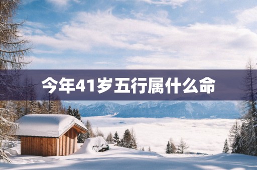 今年41岁五行属什么命