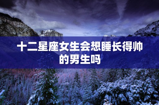 十二星座女生会想睡长得帅的男生吗