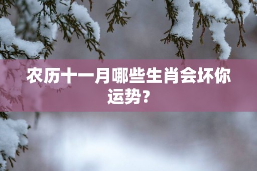 农历十一月哪些生肖会坏你运势？
