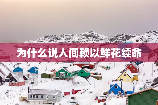 为什么说人间赖以鲜花续命