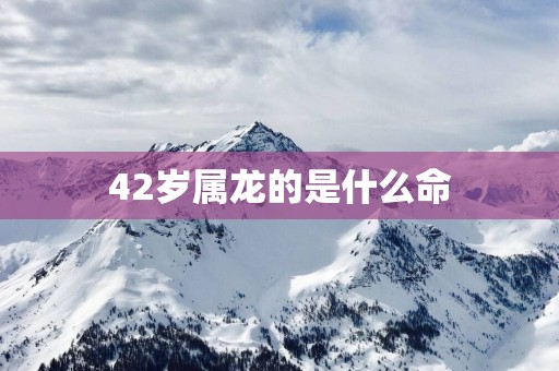 42岁属龙的是什么命