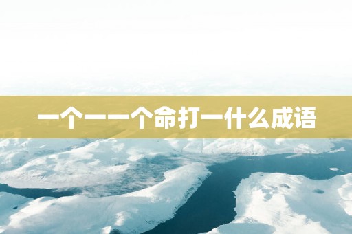 一个一一个命打一什么成语