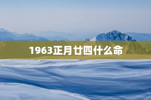 1963正月廿四什么命