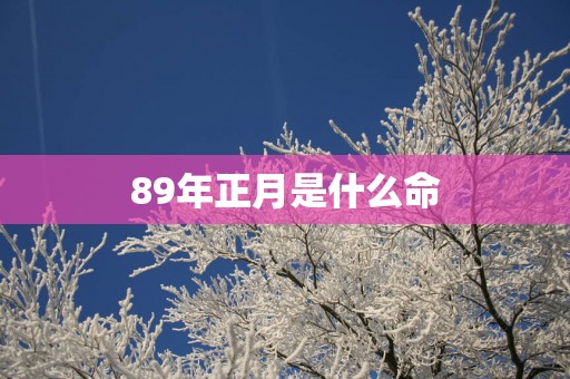 89年正月是什么命