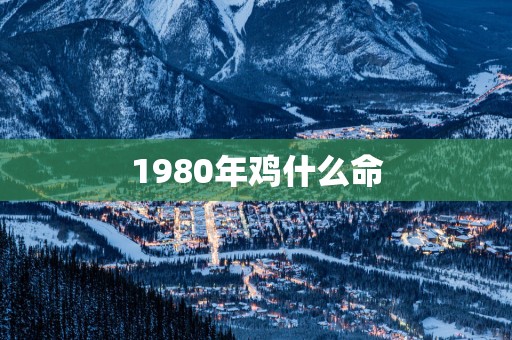 1980年鸡什么命