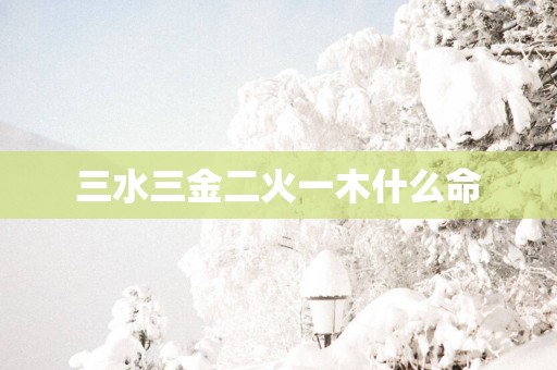 三水三金二火一木什么命