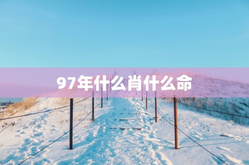 97年什么肖什么命