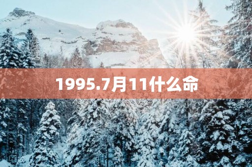 1995.7月11什么命