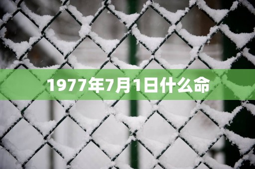 1977年7月1日什么命