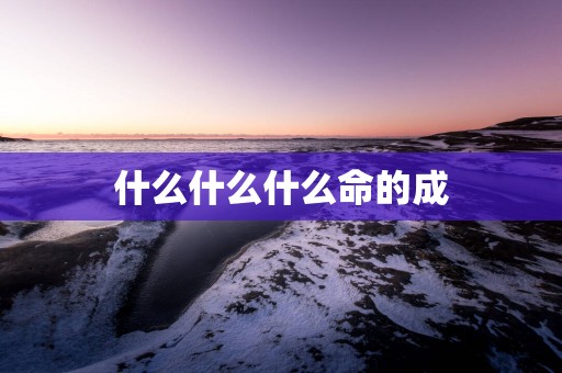 什么什么什么命的成