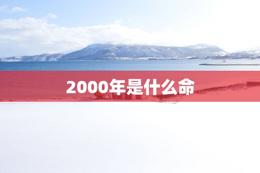 2000年是什么命