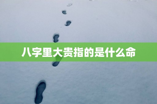 八字里大贵指的是什么命