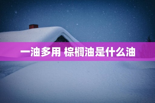 一油多用 棕榈油是什么油