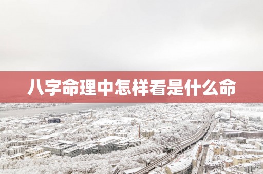 八字命理中怎样看是什么命