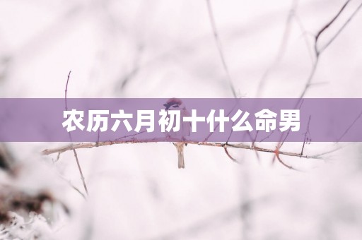 农历六月初十什么命男