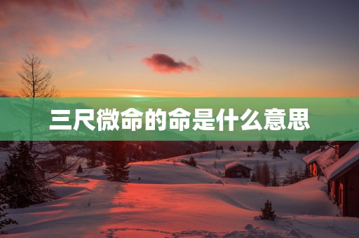 三尺微命的命是什么意思