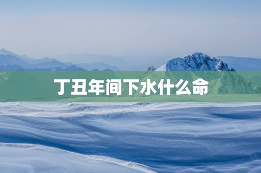 丁丑年间下水什么命