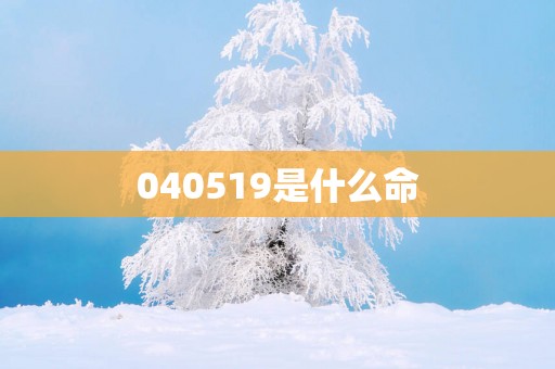 040519是什么命