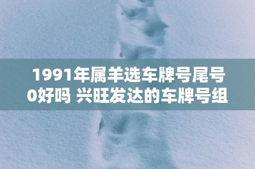 1991年属羊选车牌号尾号0好吗 兴旺发达的车牌号组合