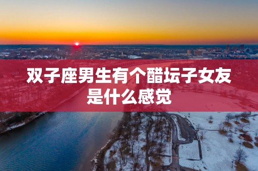 双子座男生有个醋坛子女友是什么感觉