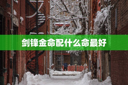 剑锋金命配什么命最好
