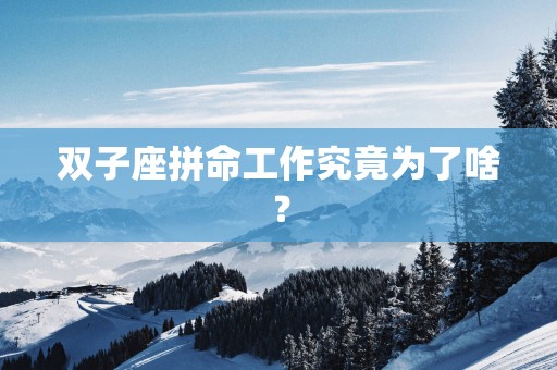 双子座拼命工作究竟为了啥？