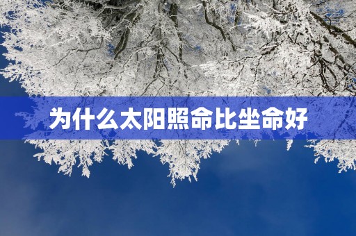 为什么太阳照命比坐命好