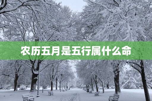 农历五月是五行属什么命