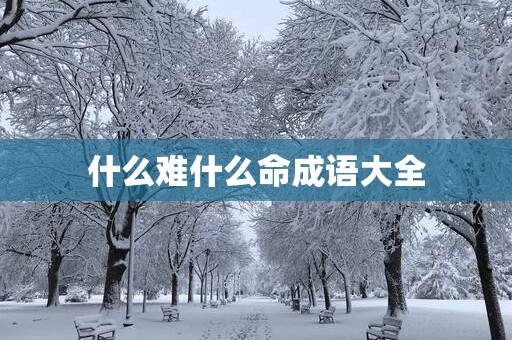 什么难什么命成语大全