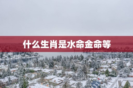什么生肖是水命金命等