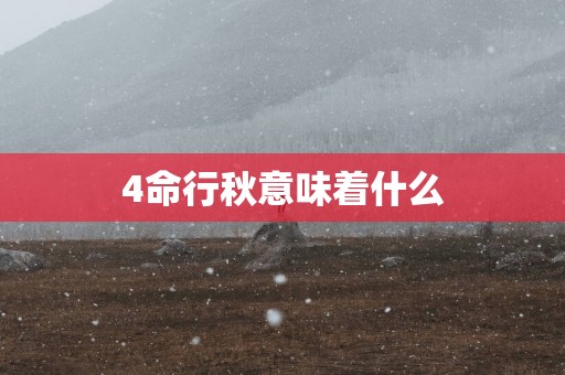 4命行秋意味着什么