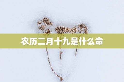 农历二月十九是什么命