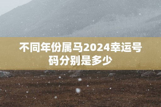 不同年份属马2024幸运号码分别是多少