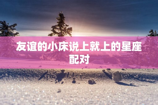 友谊的小床说上就上的星座配对