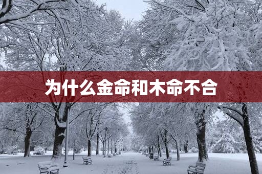 为什么金命和木命不合