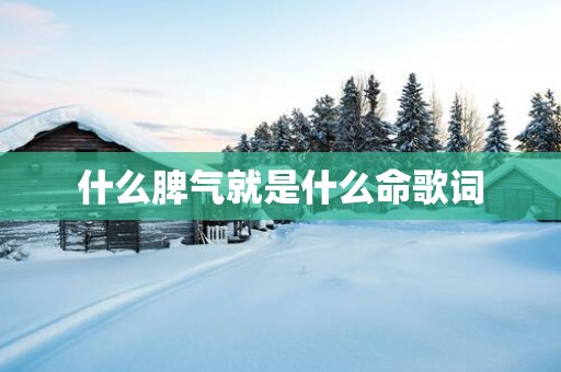什么脾气就是什么命歌词