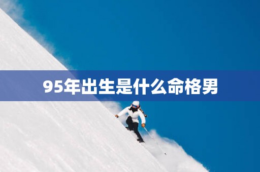 95年出生是什么命格男