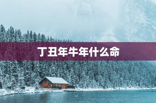 丁丑年蛇年什么命