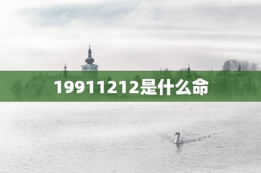 19911212是什么命