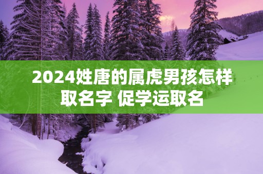 2025姓唐的属虎男孩怎样取名字 促学运取名