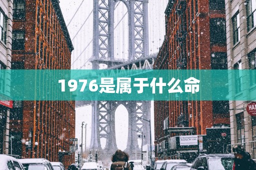 1976是属于什么命