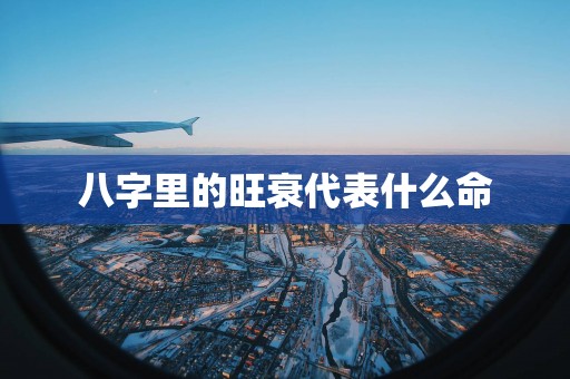 八字里的旺衰代表什么命