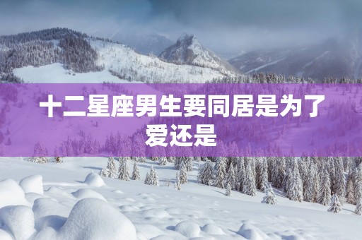 十二星座男生要同居是为了爱还是