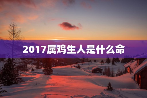 2017属鸡生人是什么命