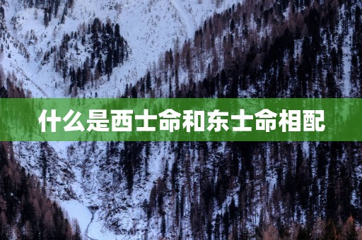 什么是西士命和东士命相配